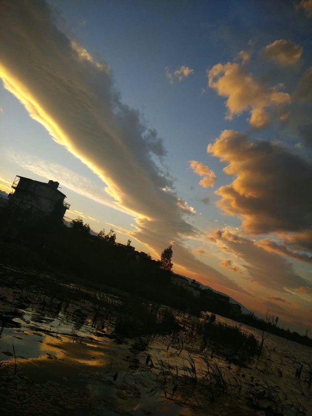 \